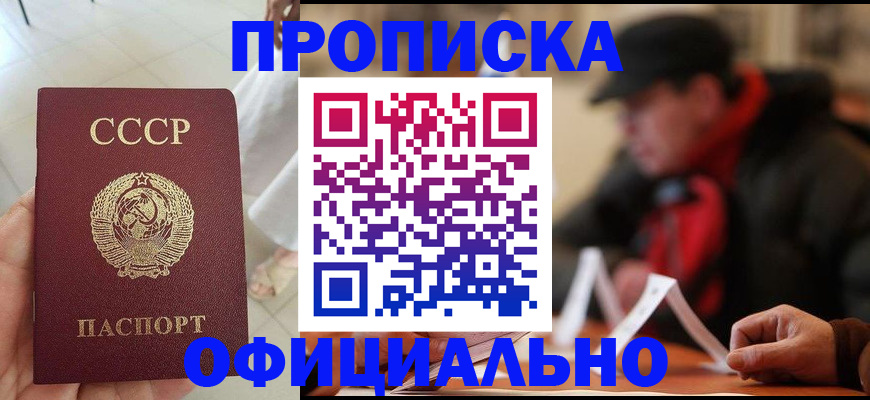 временная регистрация для школы в Курчалом